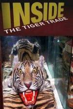 Watch Inside: The Tiger Trade Letmewatchthis