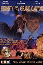 Watch Brighty of the Grand Canyon Letmewatchthis