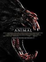 Watch Animal Letmewatchthis