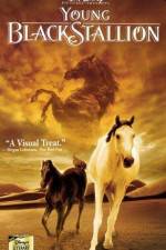 Watch The Young Black Stallion Letmewatchthis