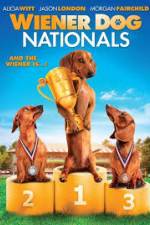Watch Wiener Dog Nationals Letmewatchthis