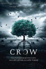 Watch Crow Letmewatchthis