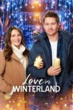 Watch Love in Winterland Letmewatchthis