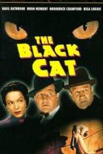 Watch The Black Cat Letmewatchthis