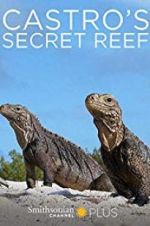 Watch Castro\'s secret reef Letmewatchthis