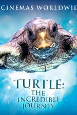 Watch Turtle The Incredible Journey Letmewatchthis
