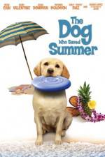 Watch The Dog Who Saved Summer Letmewatchthis