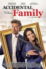 Watch Accidental Family Letmewatchthis