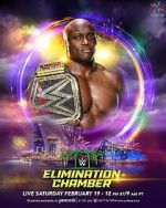Watch WWE Elimination Chamber (TV Special 2022) Letmewatchthis