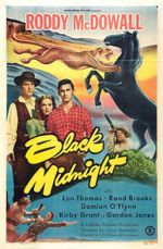 Watch Black Midnight Letmewatchthis