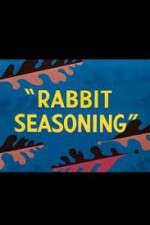 Watch Rabbit Seasoning Letmewatchthis
