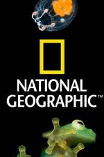 Watch National Geographic Wild Dam Beavers Letmewatchthis