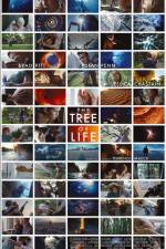 Watch The Tree of Life Letmewatchthis