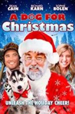 Watch A Dog for Christmas Letmewatchthis