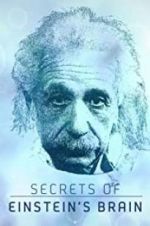 Watch Secrets of Einstein\'s Brain Letmewatchthis