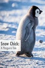 Watch Snow Chick: A Penguin's Tale Letmewatchthis