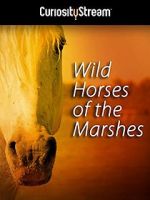 Watch Wild Horses of the Marshes Letmewatchthis
