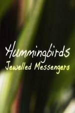 Watch Hummingbirds Jewelled Messengers Letmewatchthis