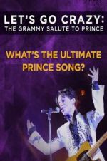 Watch Let\'s Go Crazy: The Grammy Salute to Prince Letmewatchthis