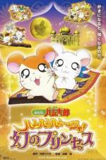 Watch Hamtaro: The Captive Princess Letmewatchthis