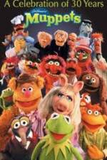Watch The Muppets - A celebration of 30 Years Letmewatchthis