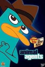 Watch Phineas And Ferb Animal Agents Letmewatchthis