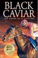 Watch Black Caviar The Races Letmewatchthis