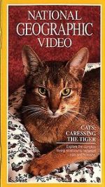 Watch Cats: Caressing the Tiger Letmewatchthis