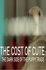 Watch The Cost of Cute: The Dark Side of the Puppy Trade Letmewatchthis