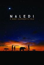 Watch Naledi: A Baby Elephant\'s Tale Letmewatchthis