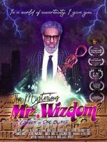 Watch The Mysterious Mr. Wizdom Letmewatchthis