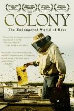 Watch Colony Letmewatchthis