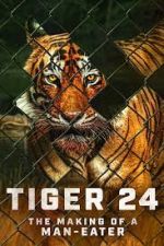 Watch Tiger 24 Letmewatchthis