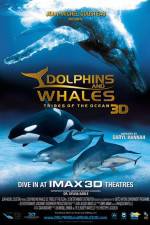 Watch Dolphins and Whales 3D Tribes of the Ocean Letmewatchthis