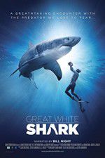 Watch Great White Shark Letmewatchthis