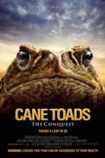 Watch Cane Toads The Conquest Letmewatchthis