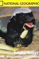 Watch National Geographic: Snake Killers Honey Badgers Of The Kalahari Letmewatchthis