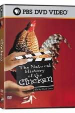 Watch The Natural History of the Chicken Letmewatchthis