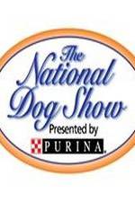 Watch National Dog Show Letmewatchthis