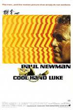 Watch Cool Hand Luke Letmewatchthis
