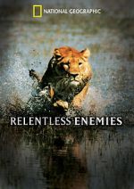 Watch Relentless Enemies Letmewatchthis