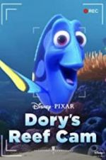 Watch Dory\'s Reef Cam Letmewatchthis