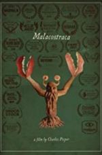 Watch Malacostraca Letmewatchthis