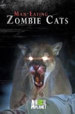 Watch Man-Eating Zombie Cats Letmewatchthis