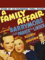 Watch A Family Affair Letmewatchthis
