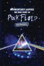 Watch Pink Floyd: Momentary Lapses - The True Story Of Pink Floyd Letmewatchthis