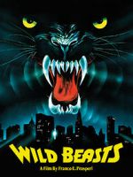 Watch The Wild Beasts Letmewatchthis