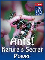 Watch Ants: Nature\'s Secret Power Letmewatchthis