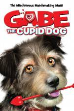 Watch Gabe the Cupid Dog Letmewatchthis