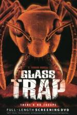 Watch Glass Trap Letmewatchthis